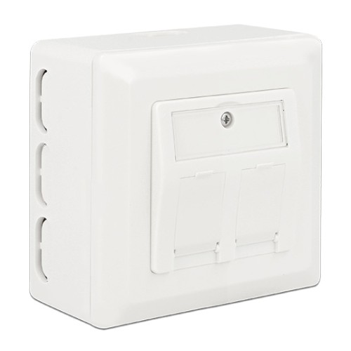 DELOCK οπίσθιο κουτί για Keystone πρίζα τοίχου 86128, λευκό