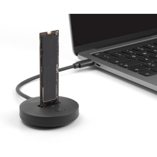 DELOCK docking station για M.2 NVMe/SATA SSD 64254, 10Gbps, μαύρο