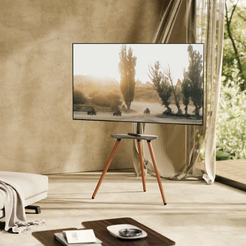 BRATECK βάση τηλεόρασης δαπέδου FS28-44F-04, 43-65