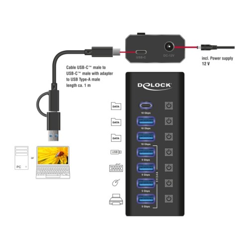 DELOCK USB hub 64326 με διακόπτες, 7x θυρών, 10Gbps, USB/USB-C σύνδεση, μαύρο