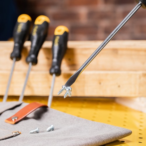 DELI σετ κατσαβιδιών DL620004, μαγνητικά, 4τμχ