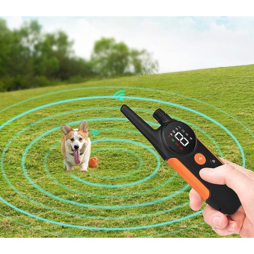 POWERTECH ηλεκτρικό κολάρο εκπαίδευσης σκύλου PT-1399 με ασύρματο χειριστήριο, εμβέλεια 300m