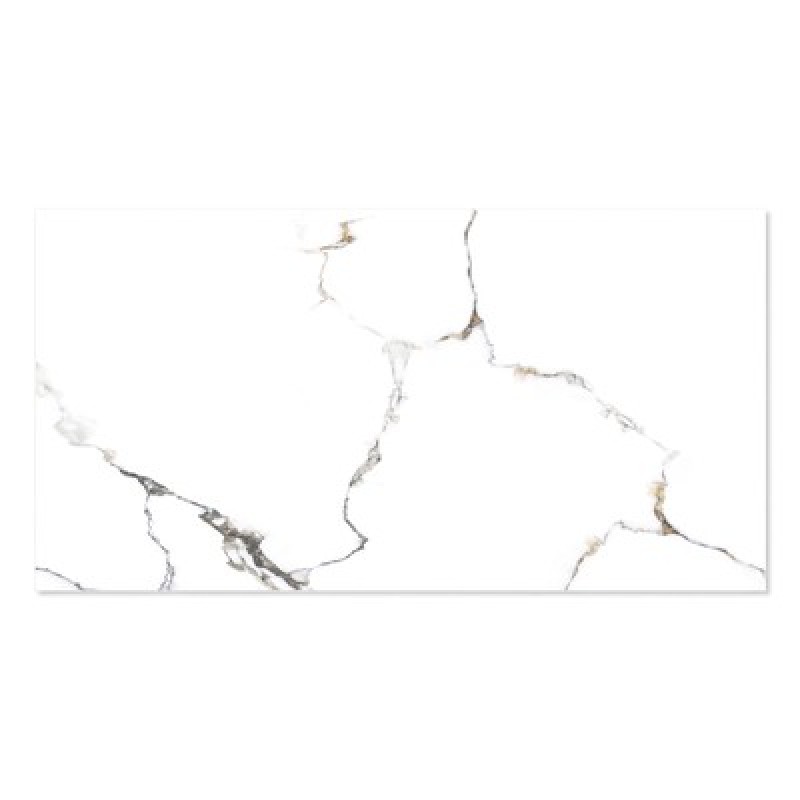 WINGRESS πλακάκι WNC-METAL-WHITE, 120x60cm, glossy finish, metal white, 2τμχ