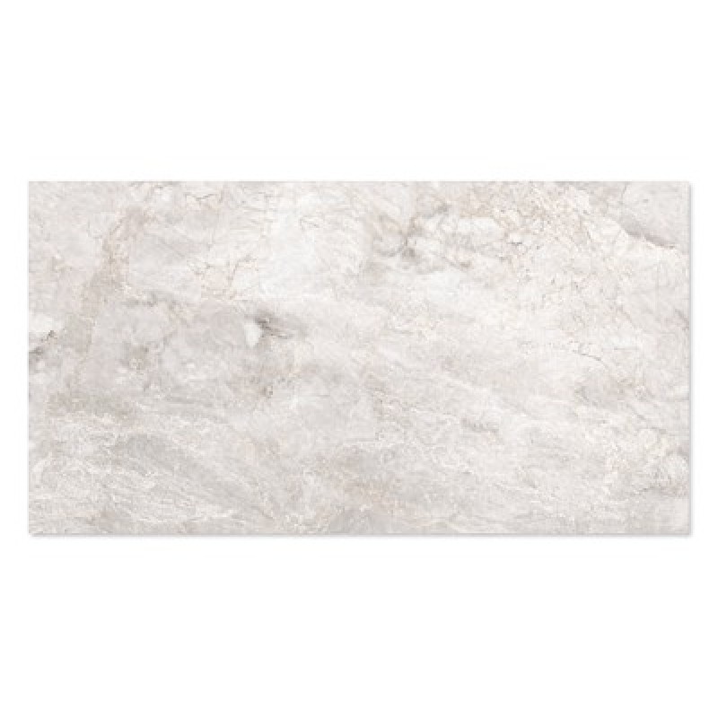 WINGRESS πλακάκι WNC-BRACIA-SILVER-GREY, 120x60cm, glossy finish, bracia silver grey, 2τμχ