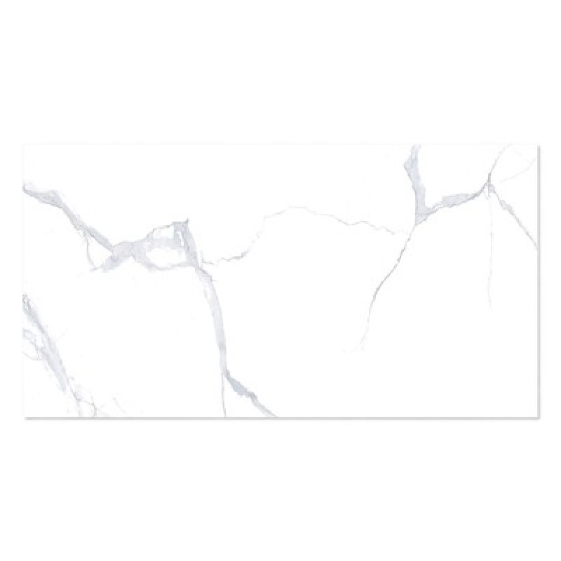 WINGRESS πλακάκι WNC-BELEN-WHITE, 120x60cm, glossy finish, belen white, 2τμχ