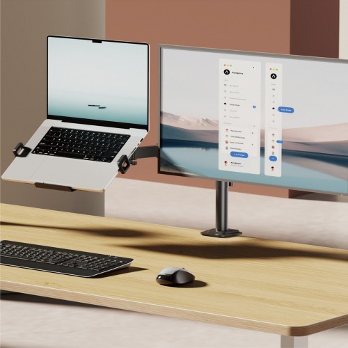 BRATECK βάση γραφείου οθόνης & laptop PT-1569, 17-32