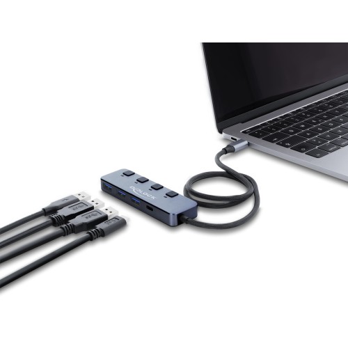 DELOCK USB-C hub 64384 με διακόπτες, 4x θυρών, 10Gbps, USB-C σύνδεση, γκρι